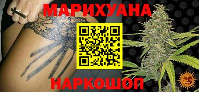 амф Кингисепп