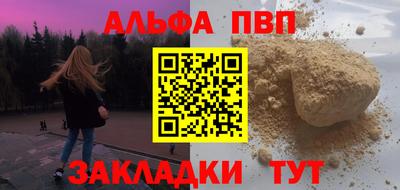 амф Кингисепп