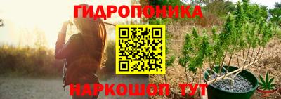 амф Кингисепп