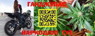 амф Кингисепп