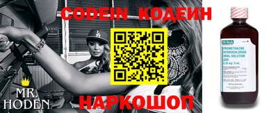 амф Кингисепп